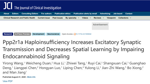 基础医学院与法医学系合作在神经发育疾病研究领域取得新进展